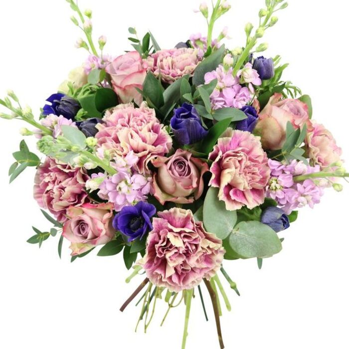 Against a stark white background, this hand-tied bouquet appears as a sophisticated composition of soft romance and striking colour, the kind of arrangement often requested from Flower Delivery Egham for special occasions. In the centre, full garden roses bloom in tones of blush pink, dusty mauve, and antique rose, their petals layered tightly at the core and relaxing into softer curves at the outer edges, creating a rich, textured focal point. Encircling these roses, numerous ruffled carnations contribute volume and movement, with petals that transition from creamy, almost beige centres to gentle blush and finally deeper fuchsia and plum-pink edging. These intricate, frilly blooms lend the bouquet a sense of generosity and tactile depth. Interwoven among the pinks are striking indigo and royal blue flowers, some still in elegant, tulip-like bud form, others more open, reminiscent of anemones. One prominent royal blue anemone with a dark, velvet-like centre stands out clearly near the base, adding drama and contrast akin to a bold accent against a pastel sky. Light, vertical accents come from spires of lilac and pale lavender stock, each stem bearing multiple small blossoms that soften the shape and suggest a delicate fragrance floating through an Egham townhouse. Surrounding the entire cluster is a collar of foliage composed of glossy dark green leaves and silvery-green rounded eucalyptus, which adds cool tone, structure, and a soothing aromatic undertone. At the bottom of the image, the natural stems are visible, gathered and tied, emphasizing the bouquet's fresh, hand-crafted nature and readiness for delivery across Egham, from the town centre out toward Englefield Green. The combination of pinks, purples, blues, and greens creates an elegant, emotive piece, ideal for weddings, anniversaries, or heartfelt congratulations.