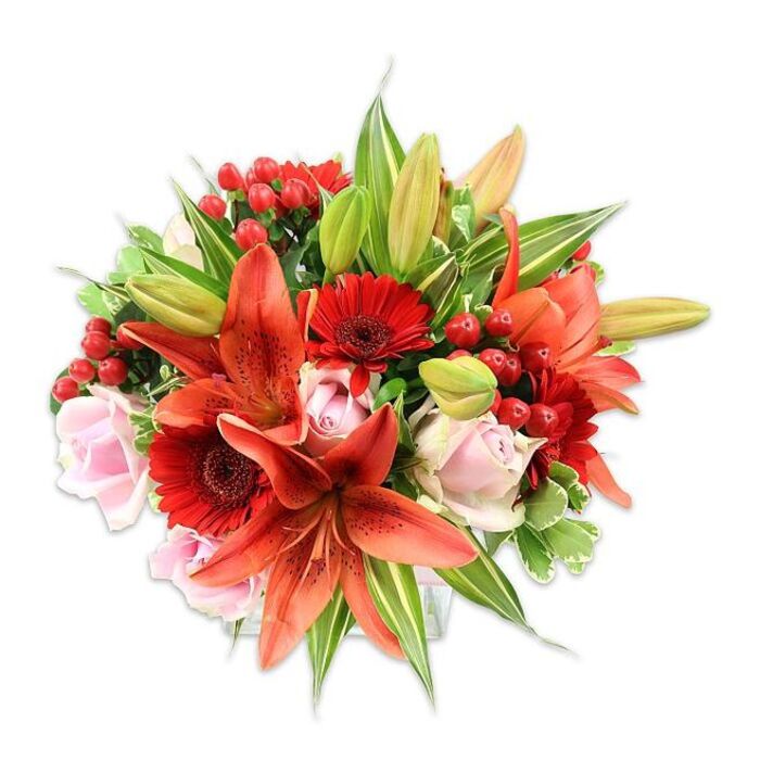 Set against a stark white background, this abundant, round bouquet showcases confident floral design and the tactile pleasures of fresh flowers. Dominating the display are several large orange-red lilies-likely Asiatic in form-with recurved, freckled petals and visible stamens whose dark anthers add detail and depth to the centre of each bloom. These dynamic lilies are balanced by rich, crimson Gerbera daisies, their concentric rows of narrow petals radiating from deep central disks to create a vivid, textured contrast. Soft, pale pink roses are artfully tucked throughout, appearing in stages from closed buds to open cups and lending a gentle, romantic softness that tempers the arrangement's intensity. Clusters of bright red hypericum berries are dispersed like small, glossy punctuation marks, their waxy sheen and rounded profiles introducing playful texture against smoother petals. The foliage is generous and varied-broad green leaves that ground the design, narrower strap-like lily foliage for vertical movement, and a few variegated sprigs with lighter green-and-white streaking that add visual lift and complexity. Under clear, bright lighting the colours read saturated and fresh, and the interplay of surfaces-paper-thin lily petals, velvety rose petals, and crisp greens-creates an irresistible tactile promise. As a local piece that would suit a special-occasion table on Egham High Street or a thoughtful delivery to Royal Holloway, this bouquet reflects careful craftsmanship and freshness; at Flower Delivery Egham we often lean on this colour story when a client asks for something warm, uplifting and elegantly composed.